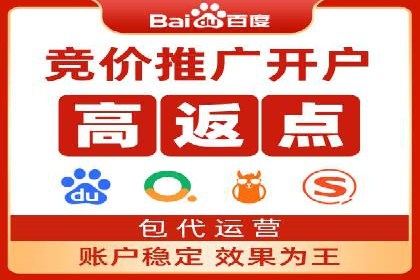 成功SEM托管案例：流量与转化双赢
